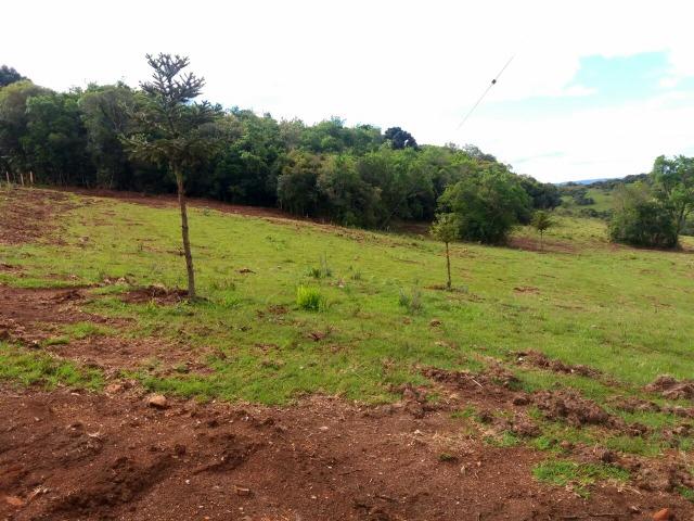 Área para chácara de lazer com 02 hectares - Foto 3
