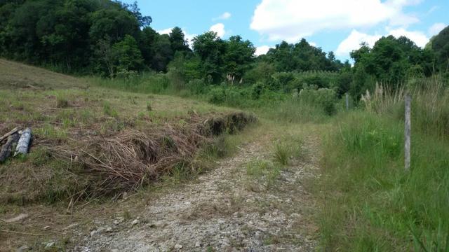 Linda área para chácara de lazer com 02 hectares - Foto 7