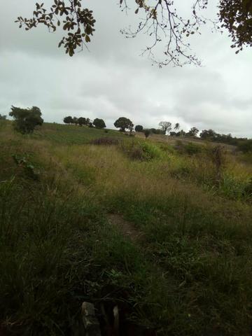Vendo terreno aqui em São Sebastião Alagoas - Foto 4