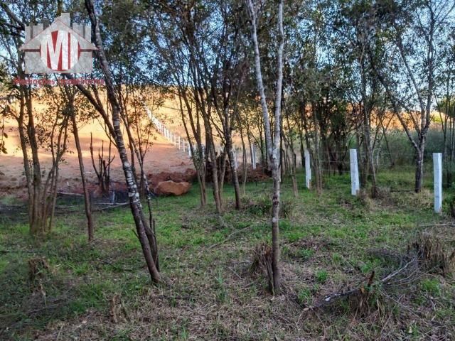 Lindo terreno com escritura, poço semi-artesiano e energia elétrica em Pedra Bela - Foto 17