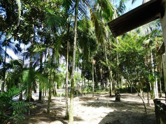 Chacara de 7.000m² Colonia Pereira - Matinhos - Foto 13