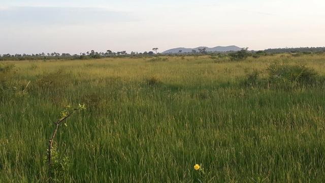Fazenda de pecuária - Foto 10