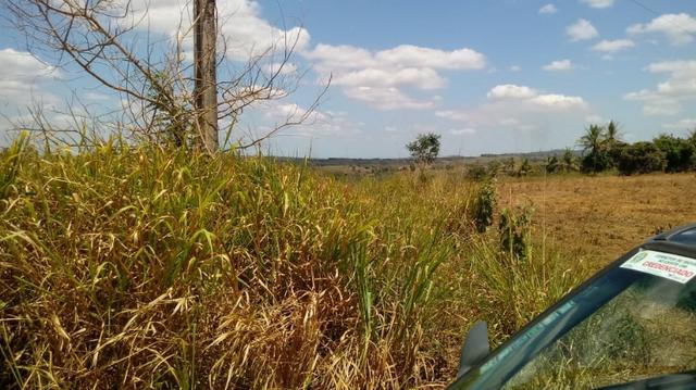 Ótima propriedade com 2 aviários em Chã de Alegria - Foto 5