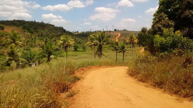 Ótima propriedade com 2 aviários em Chã de Alegria - Foto 3