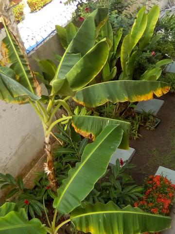 Vende-se Apartamento em Salinópolis-PA - Foto 15