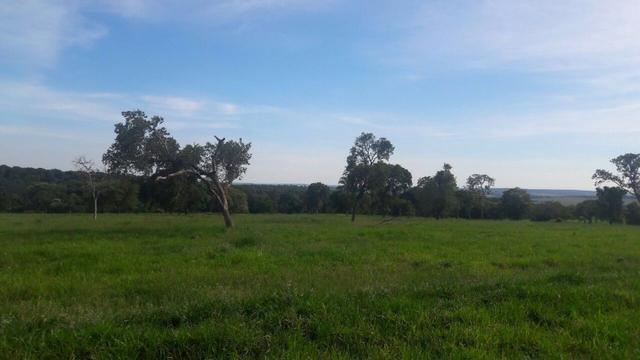 Fazenda de pecuária - Foto 7