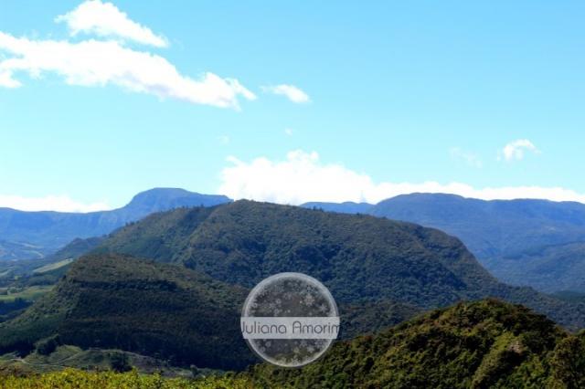 Seu sitio em Bom Retiro na Serra Catarinense - Foto 4