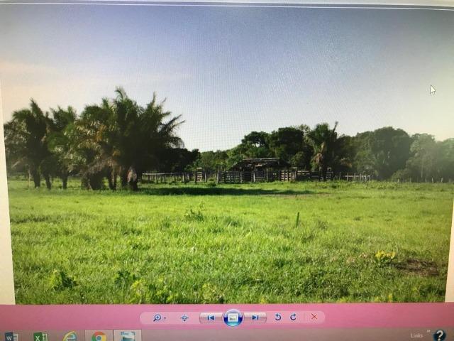 Fazenda na nhecolandia - Foto 4