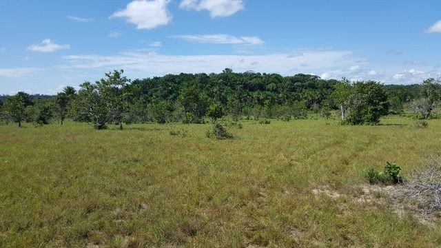 Fazenda de 1500 hectares em Alto Alegre/RR, ler descrição do anuncio - Foto 18