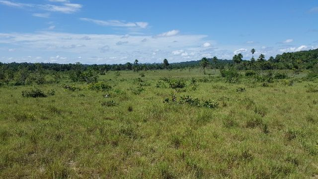 Fazenda de 1500 hectares em Alto Alegre/RR, ler descrição do anuncio - Foto 20