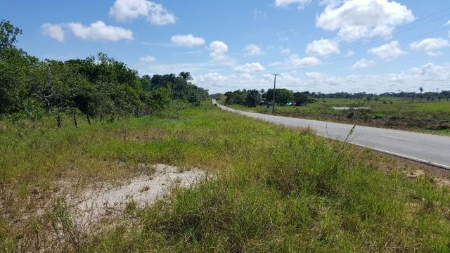 Fazenda de 1500 hectares em Alto Alegre/RR, ler descrição do anuncio - Foto 7