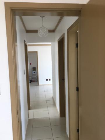 ! Cond. Palm Ville Residence - Foto 11