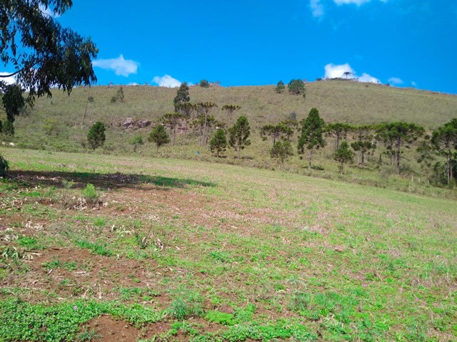 Sítio Terreno - Foto 3