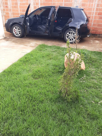 Golf 10/11
