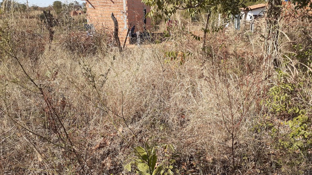 Terrenos - Foto 14