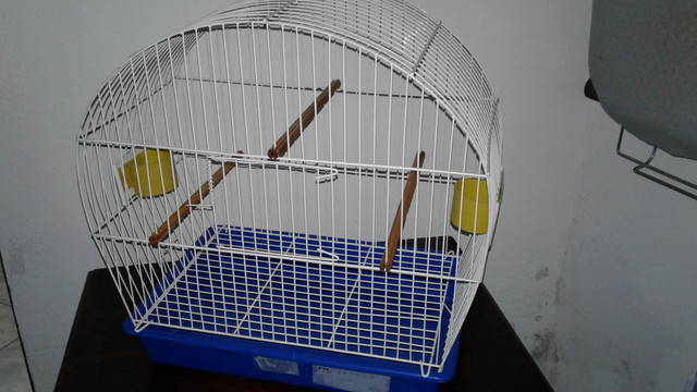 Gaiola para Sabiá