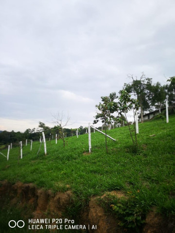 54V terreno com ótimo acesso - Foto 2