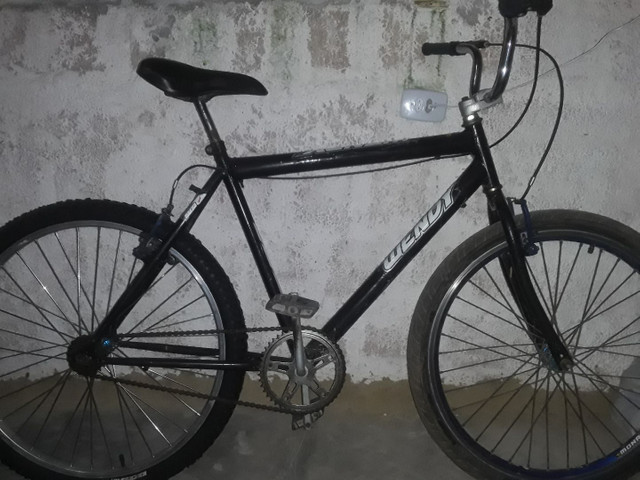 Bicicleta wendy