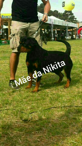 ROTT - Foto 2