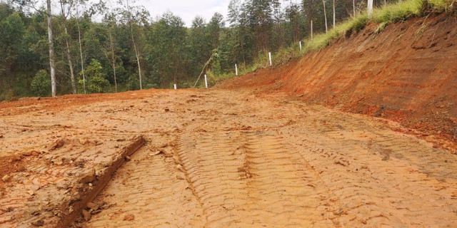 54V terreno para quem gosta de plantar