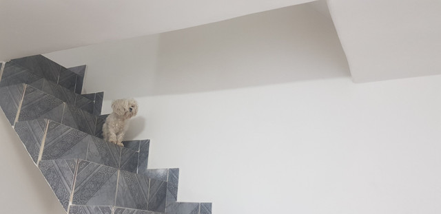 Casa em ótimo bairro, ao lado de São Paulo - Foto 14
