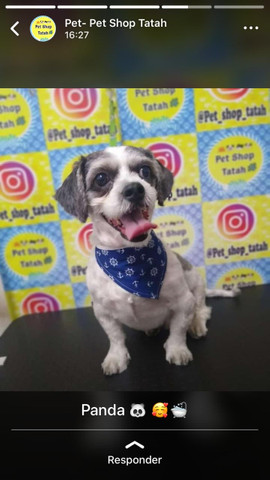 Bandanas para Pets 1,80 - Foto 4