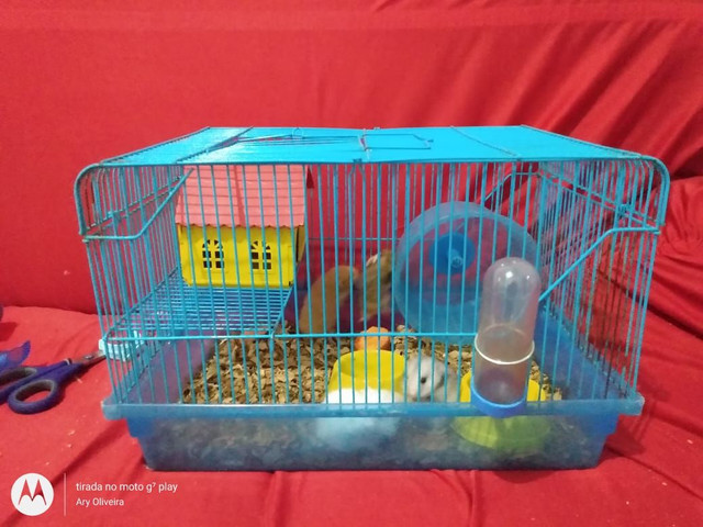 Vende-se gaiolas para hamster