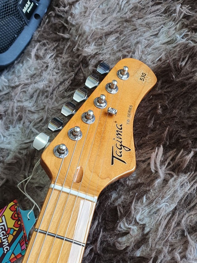 Guitarra Stratocaster Tagima Tw530 Woodstock  - Foto 6