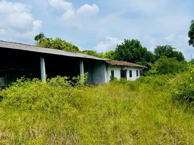 Terreno, 1.650.000m² em Benevides. - Foto 5