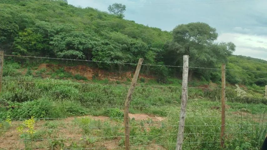 Fazenda em Riacho das Almas/PE à Venda (FA0076-DV)