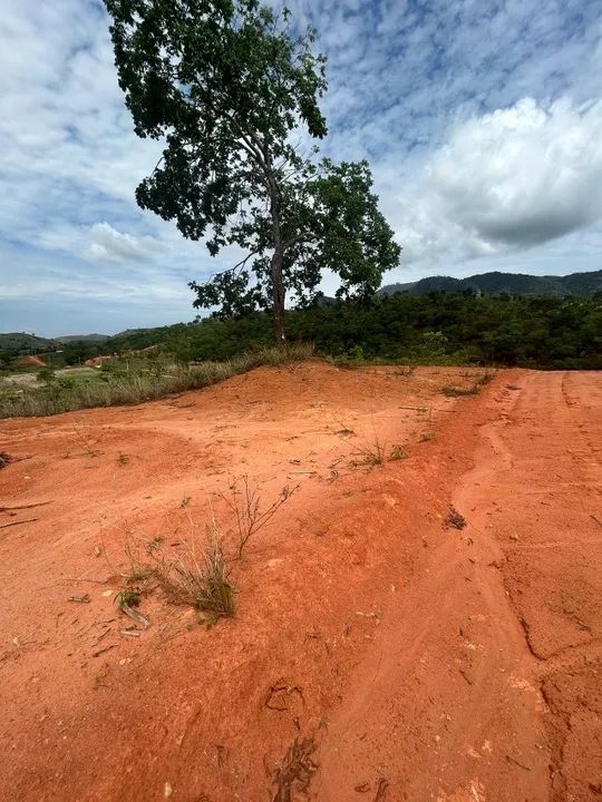 Chácara 3000m Terra Prometida em Valadares - Foto 6
