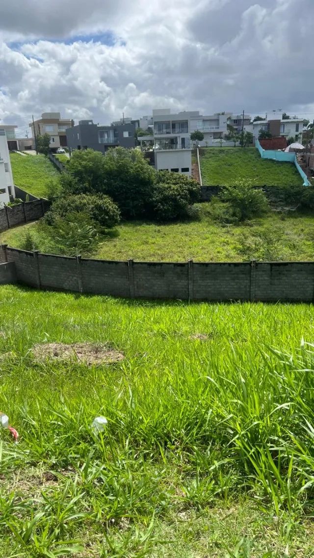 Lote Alpha LN2 com 460m - Foto 2