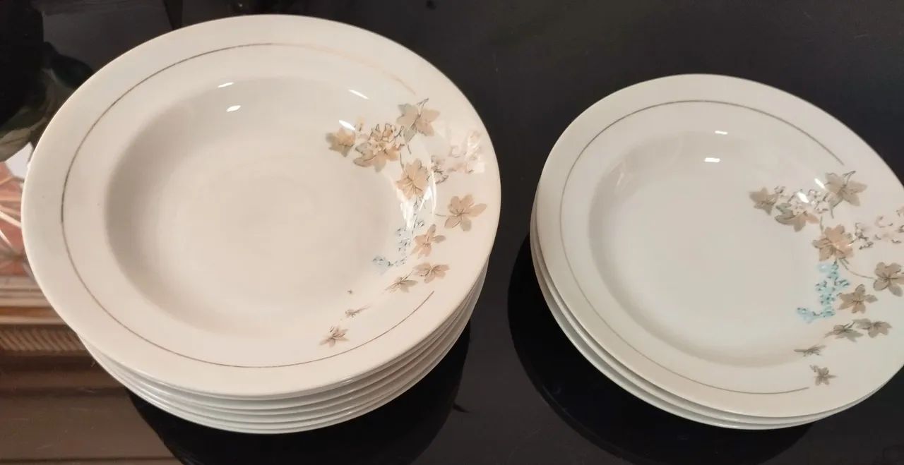 Pratos PORCELANA POLOVI GERMER (11 pratos) - Foto 3