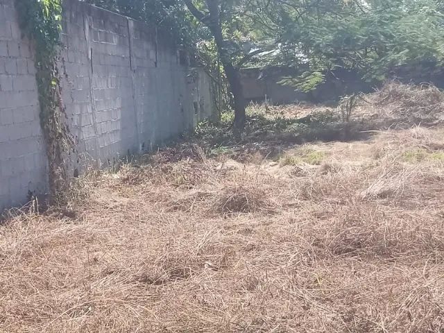 Área de Terreno no Morro Cavado 2000² murado, ideal p/ loteamento, alô investidores  - Foto 2