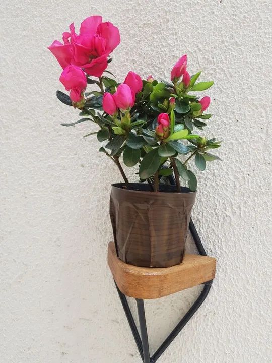 Suporte para vaso de planta em ferro e madeira