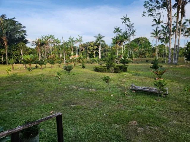 Sítio 1000 x 3.000 estrada Balbina  1.016.000 - Foto 4