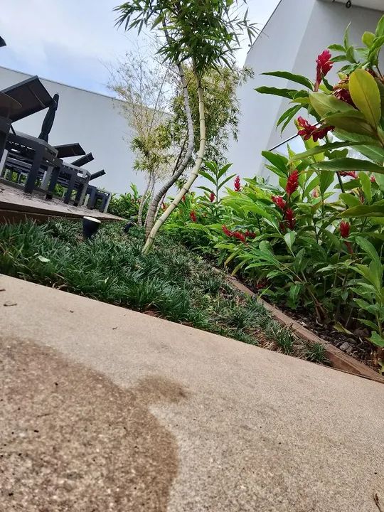 Serviço de jardinagem e paisagismo, - Foto 3