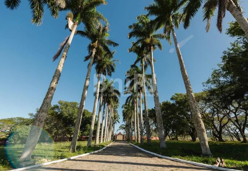 Lote em Condomínio de Alto Padrão à venda, 360m² - Marina - Foto 8