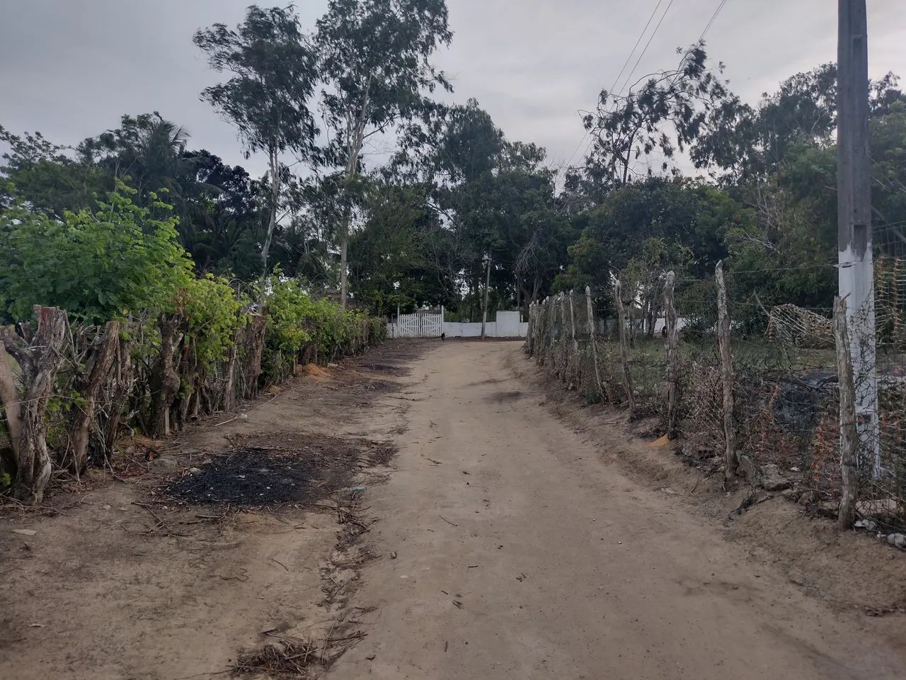 oportunidade lote chácara 1000 mts no Lindóia - Foto 5