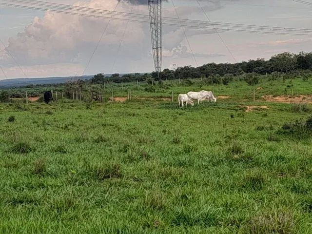 Fazenda de 50ha em Dores do Indaiá - Foto 9