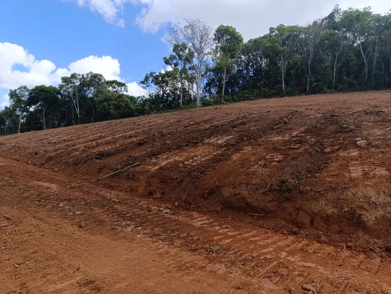 VENDO Lindo Terreno com 4000 m² - Bateias / Campo Largo - Foto 6