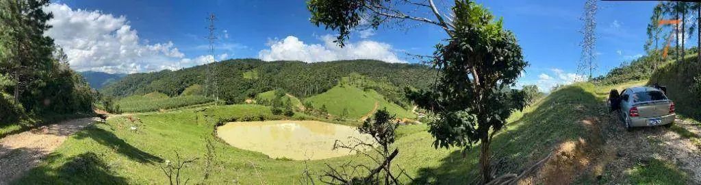 Terreno à venda, 270000 m² por R$ 800.000,00 - Centro - Angelina/SC