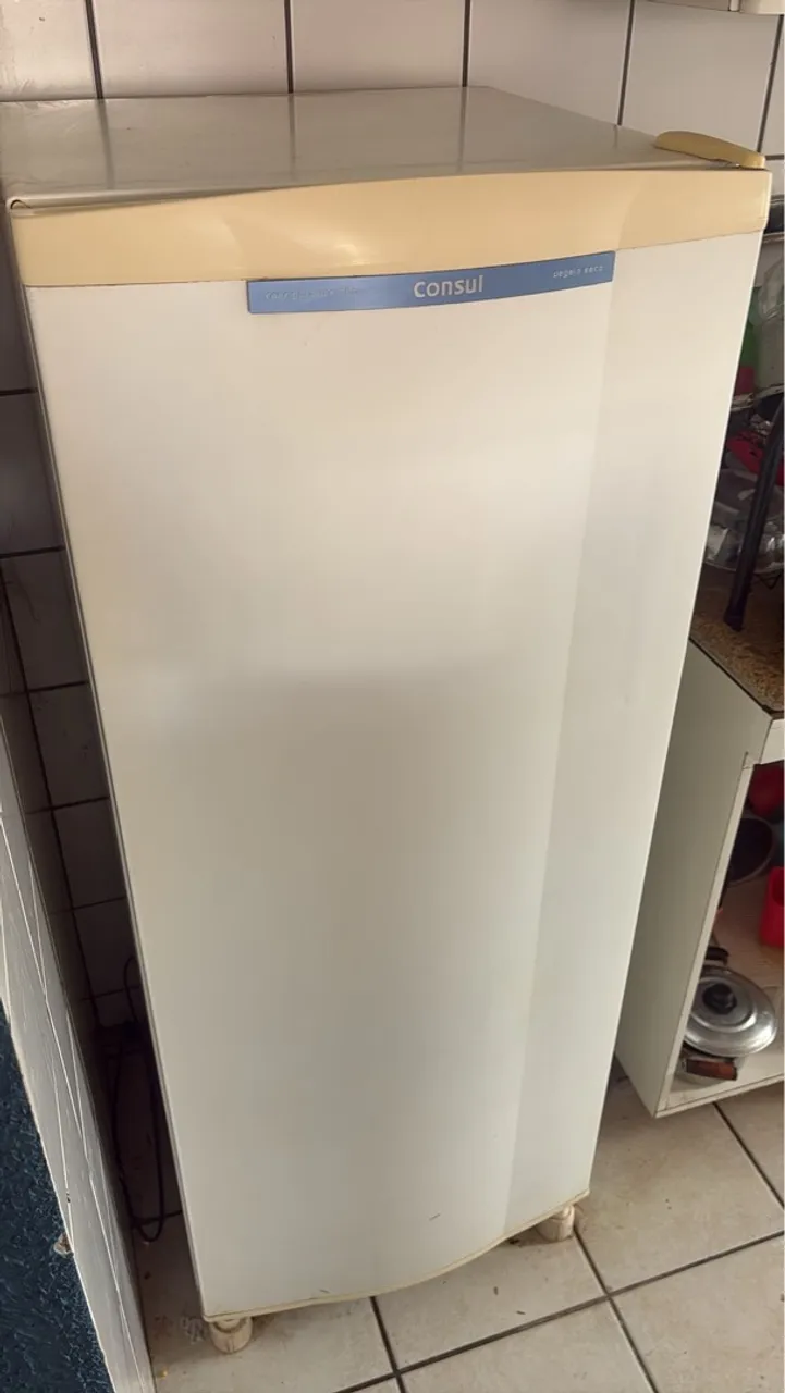 Geladeira cônsul 220v