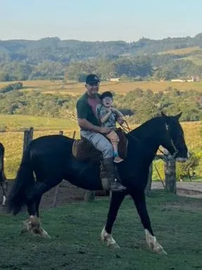 CAVALO CRIOULO BT