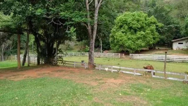 Sítio com 3 dormitórios, 40000 m² - venda por R$ 1.700.000,00 ou aluguel por R$ 4.530,00/m - Foto 4