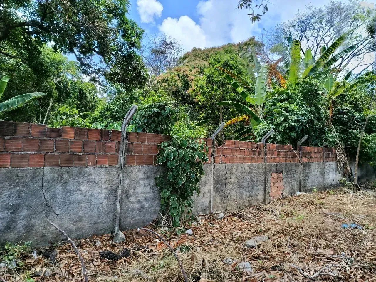 lote terreno - Foto 3