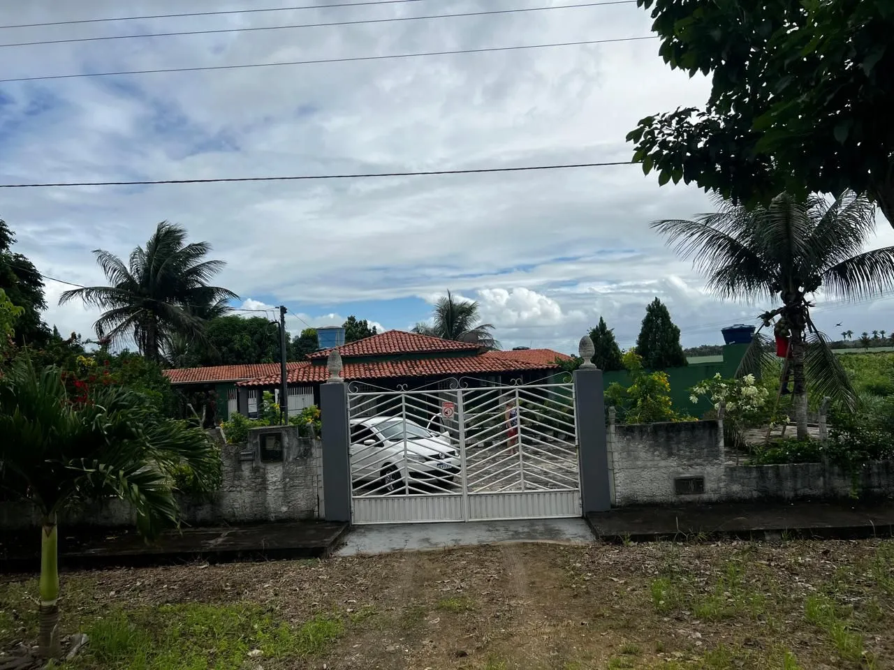 Vendo Sitio Na Colônia Treze