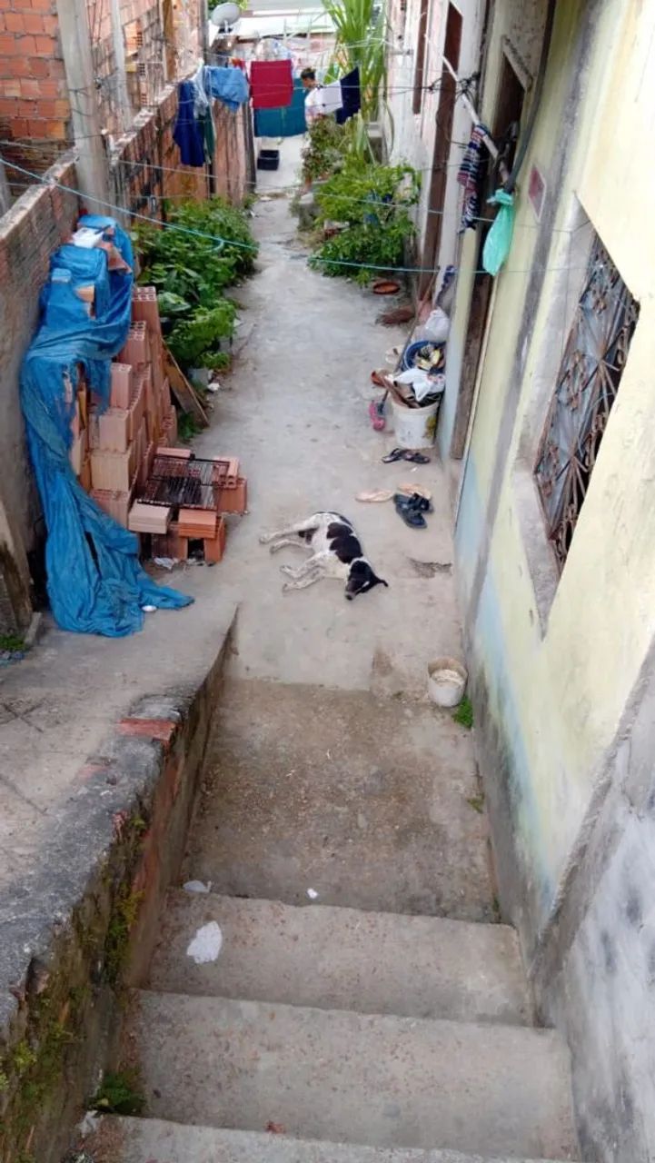 Foto - Manaus - Colônia Antônio Aleixo