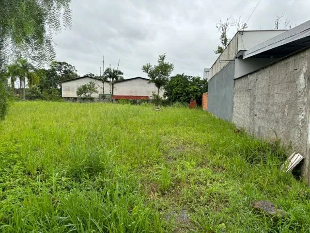 TERRENO À VENDA EM PIRABEIRABA - JOINVILLE/SC  - Foto 2