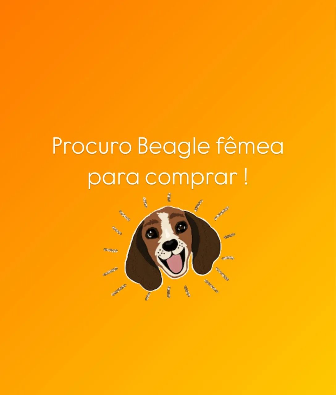 Procuro Beagle fêmea para comprar
